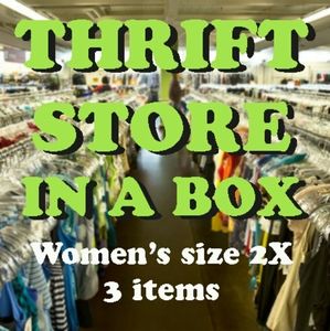 "Thrift Store In A Box" WOMEN'S CLOTHING size 2X